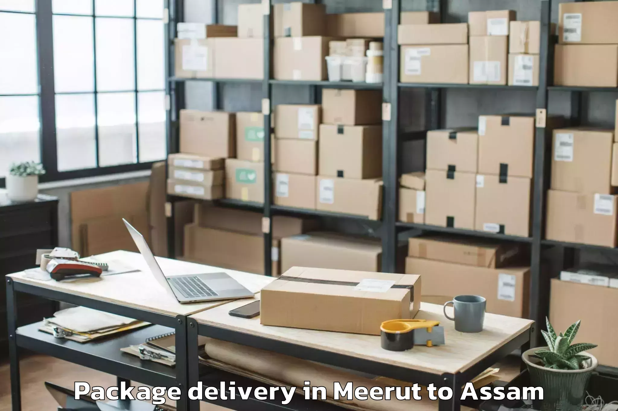 Affordable Meerut to Bogribari Package Delivery